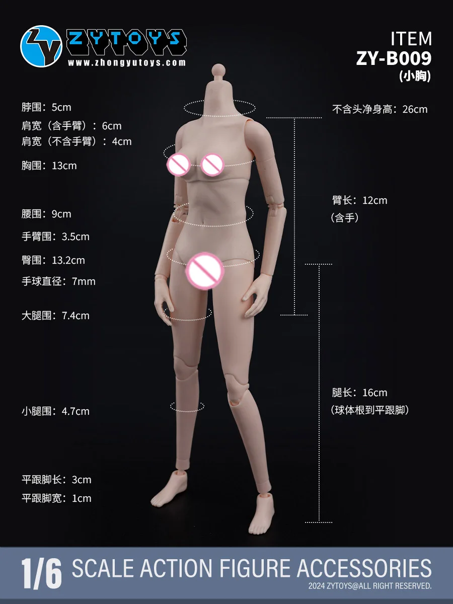 ZYTOYS ZY-B008 ZY-B009 1/6 스케일 여성용 슈퍼 플렉시블 조인트 바디 12인치 화이트 소형 중간 가슴 액션 피규어 바디 모델
