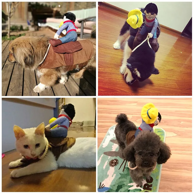 Cowboy Dog Costume