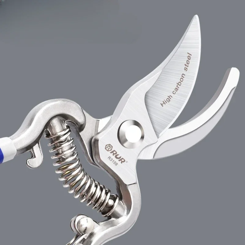 Boutique Tool Aesthetic