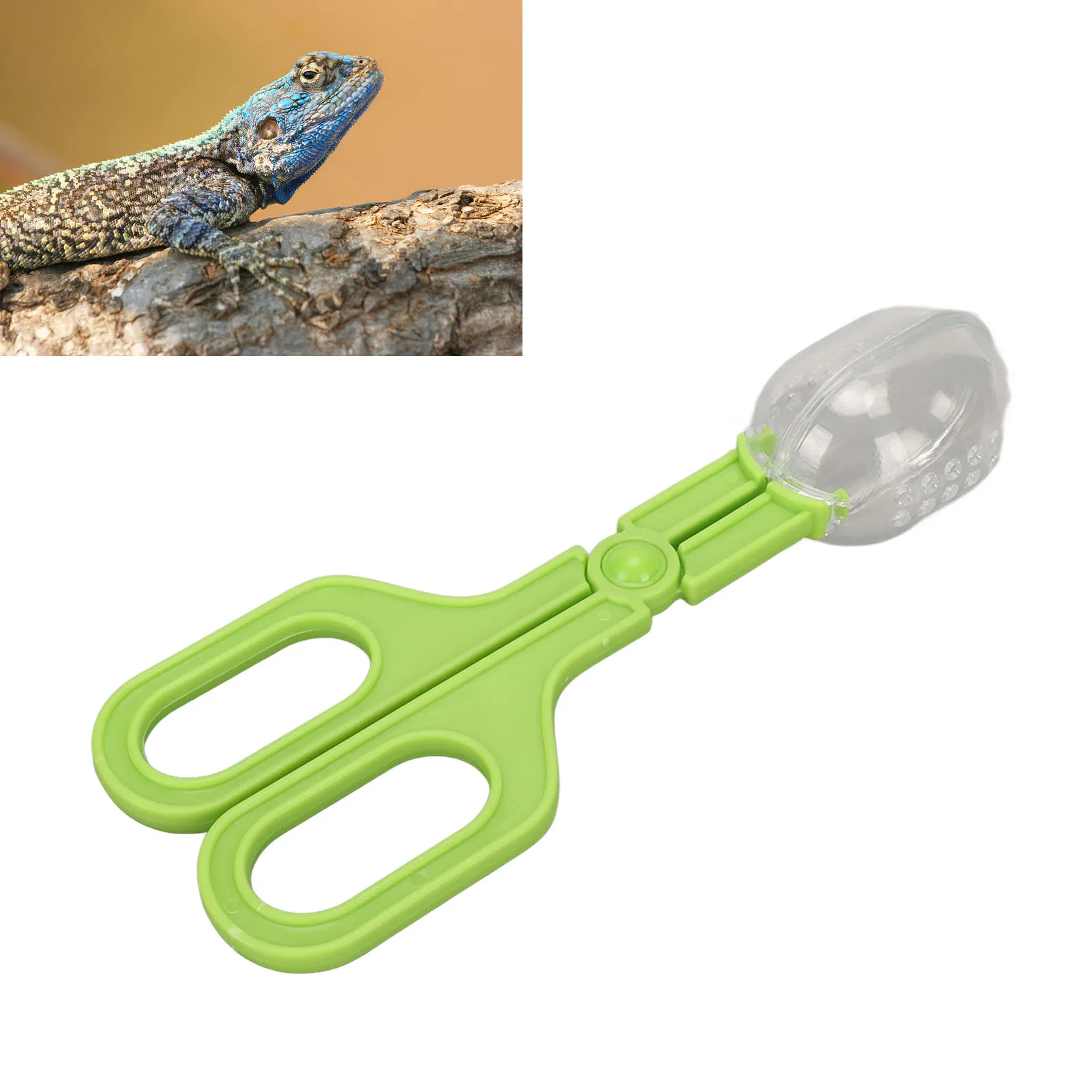 Reptile Feeding and Cleaning Tool Transparent Reptile Feeding Clamp Multipurpose Easy To Observe with Vents for Lizard for Frog