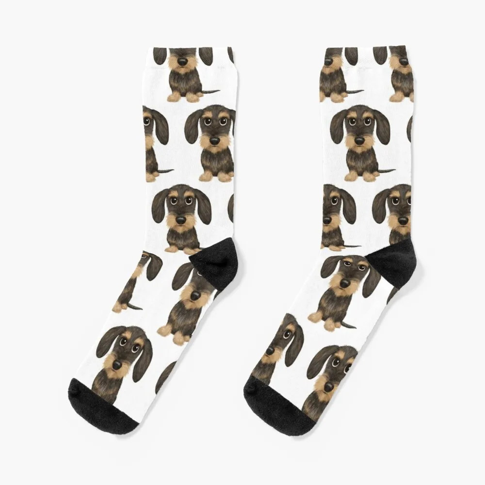 Wirehaired Dachshund | Cute Wire Haired Wiener Dog | Wild Boar and Tan Teckel Socks Female Cycling Socks Sports Socks Woman