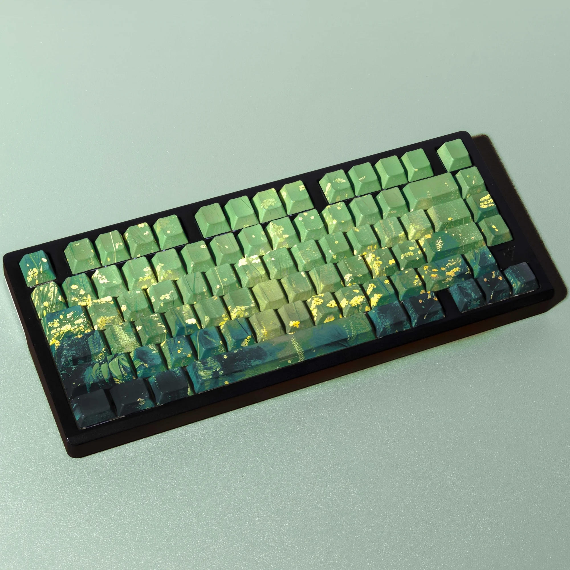 dsc-products