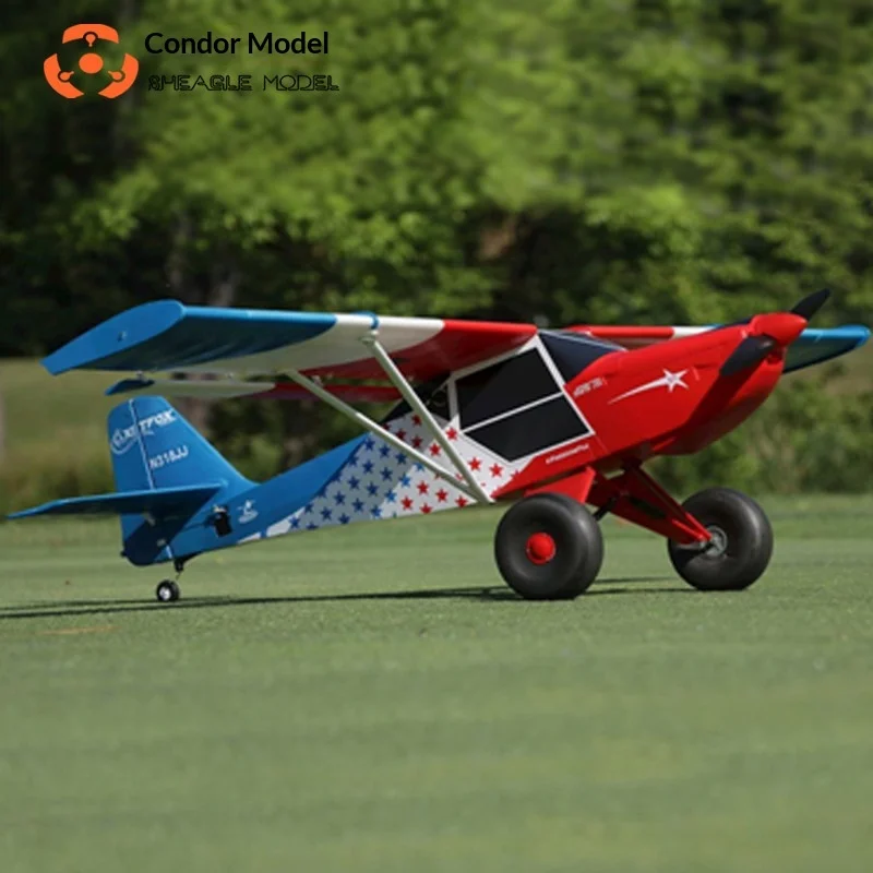 리이글 모델 폭스 전동 RC 고정익 트레이너 비행기, 오프로드용 대형 타이어, 플랩, 에폭시 폼, 야외 비행, 취미용
