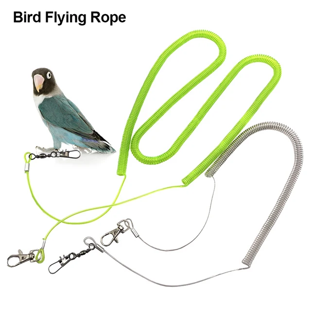 Pet Bird Parrot Flying Rope Cockatiels Pet Bird Leash Kit