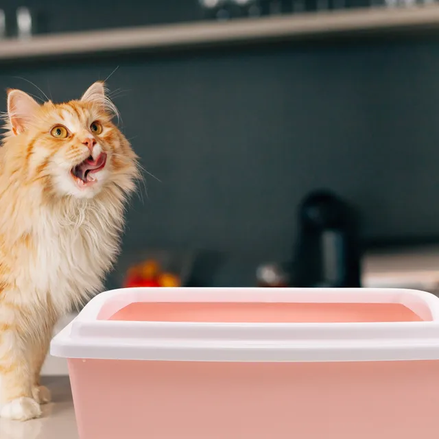 Cat Litter Box Semi-Closed Reusable PP Material Open Top Design Litter Tray Scoop for Cats Small Animals Toilet Cat Litter Box Semi-Closed Reusable PP Material Open Top Design Litter Tray Scoop for Cats Small Animals Toilet