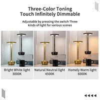Rechargeable Wireless Table Lamp for Bedroom, Rechargeable, Touch Lamp, Camping Candle, Creative, USB-C, Desk Lamp 2