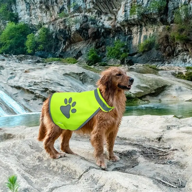 Reflective Safety Vest - image 2