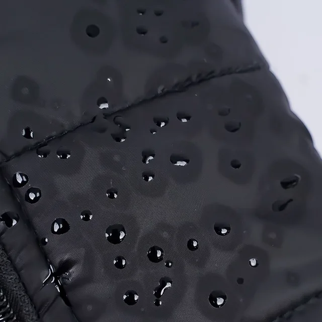 Waterproof Padded Dog Coat – Warm Winter Jacket for Small to Large Dogs 5