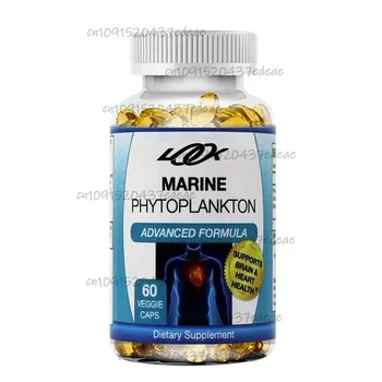 Freeze Dried Marine Single-cell Seaweed, Supports Overall Health, Superfood, Biological Protein