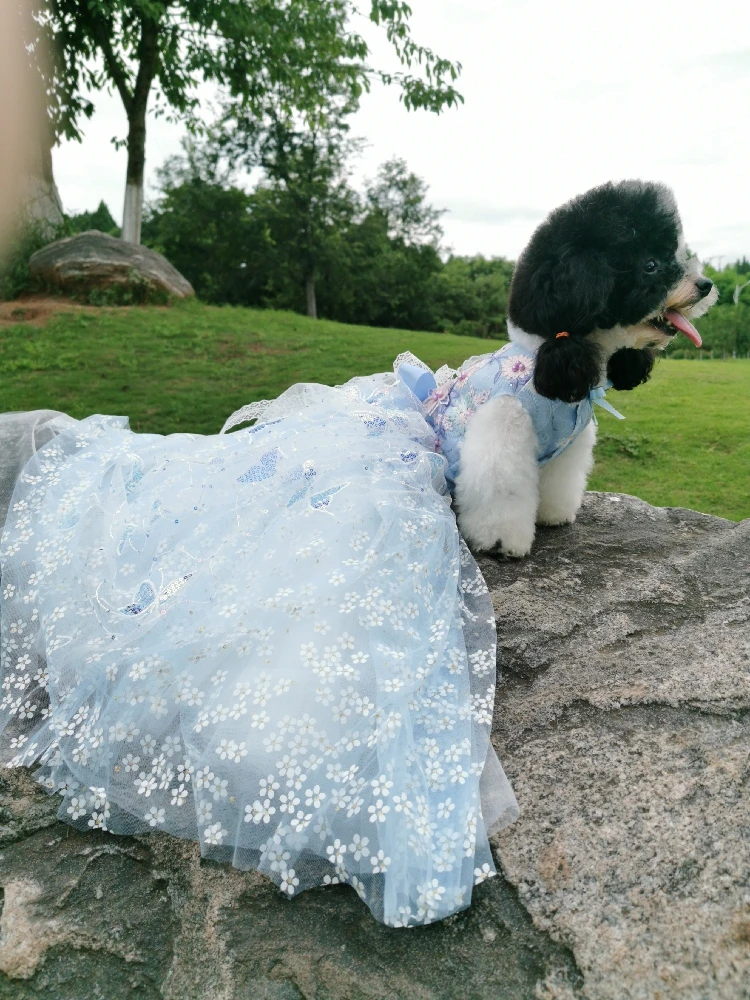 green emerald velvet dress LaiFug Luxury Puppy Wedding Dress