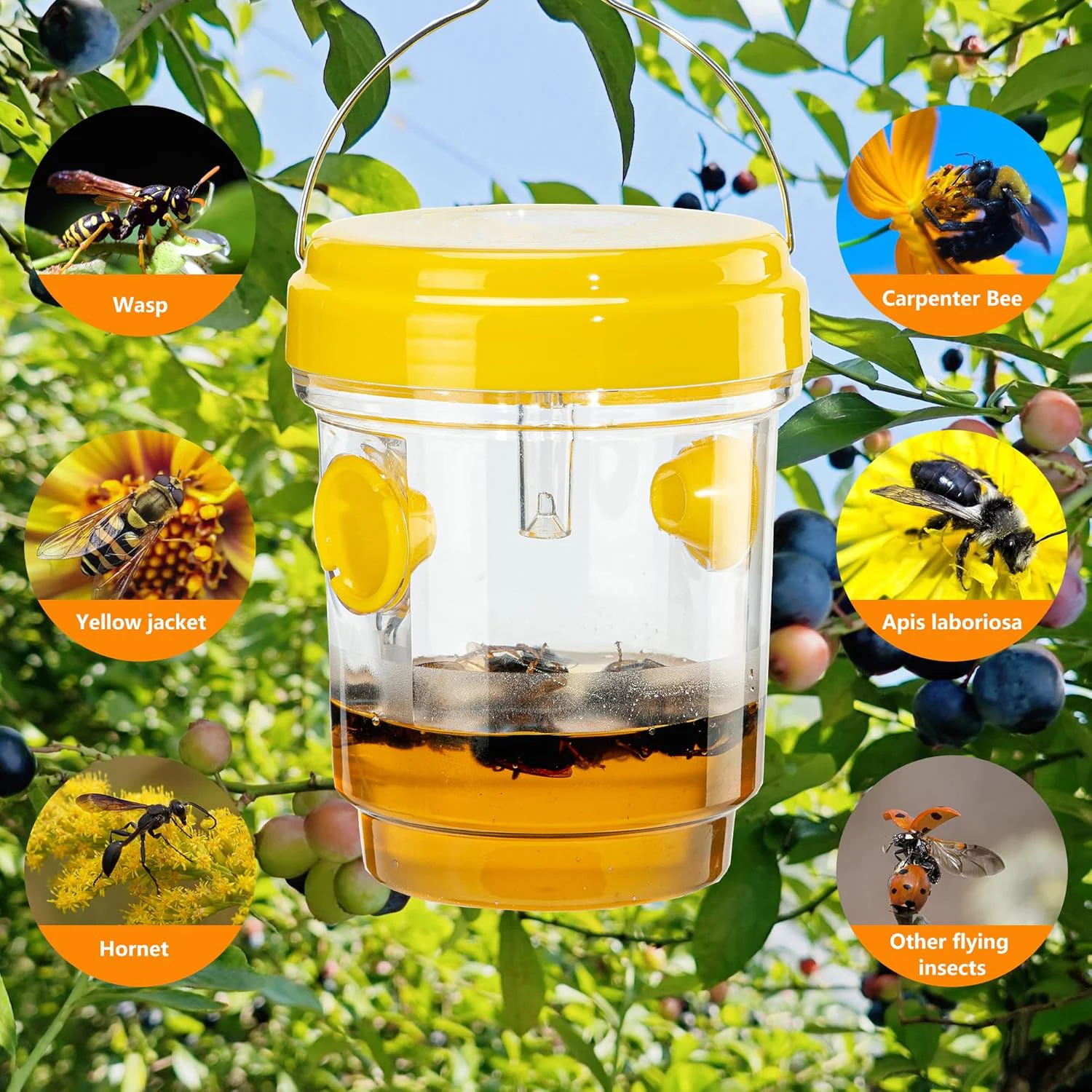 Large Reusable Waterproof Wasp and Hornet Trap for Indoor and Outdoor Pest Control