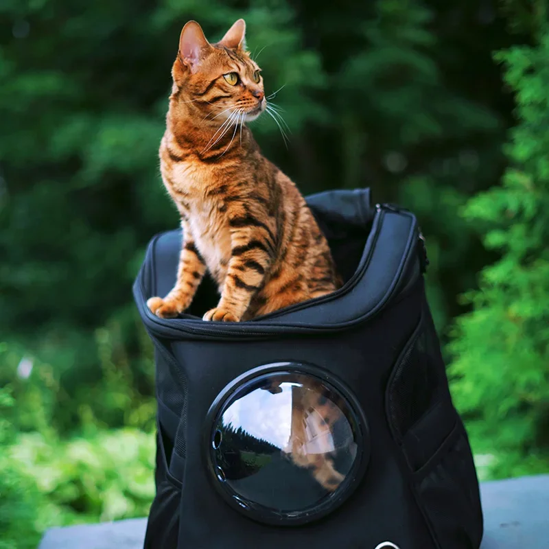 Fat Cat Backpack Carrier Denim Pet Backpack with Space Capsule Bubble for Small Medium Cats Puppy Dog for Travel Hiking Pet Carrier Backpack