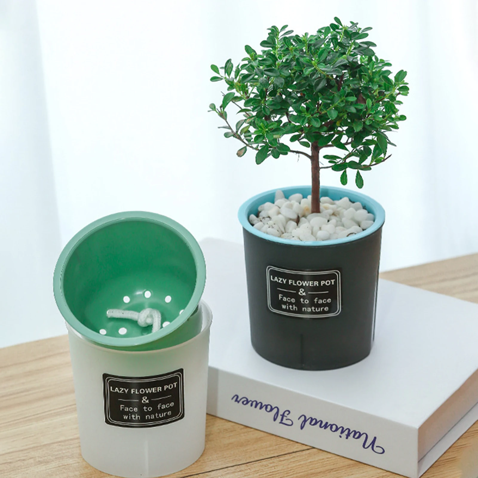 Translucent Detachable Self-Watering Flower Pot with Enhanced Drainage
