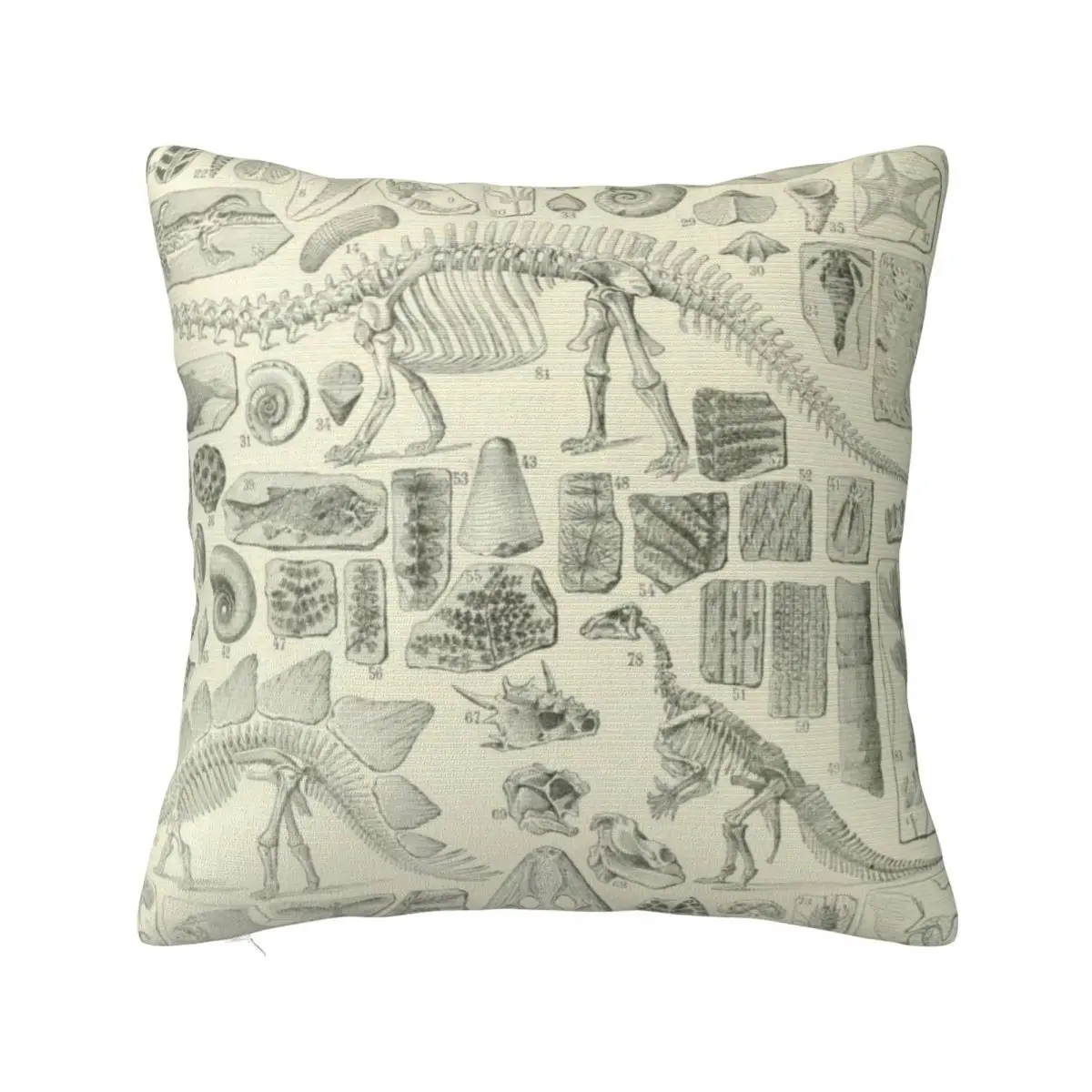 Fossil Chart Throw Pillow Luxury Living Room Decorative Cushions luxury throw pillow covers Pillow Decor