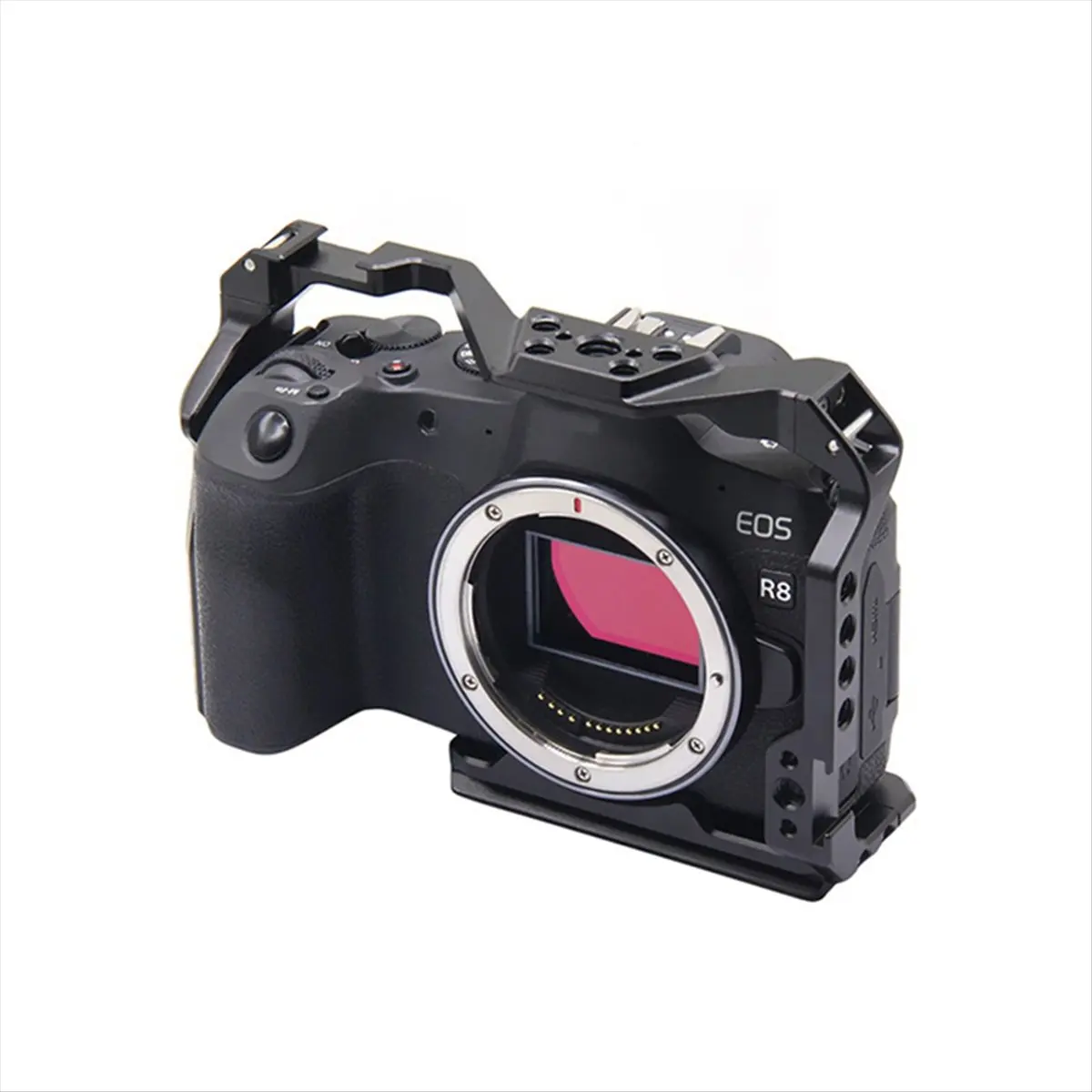 T73C 캐논 EOS R8 카메라 케이지 리그 콜드 슈 마운트 ARRI 3/8인치 1/4인치 홀 탑 하우징 케이스 DSLR 카메라 보호 프레임