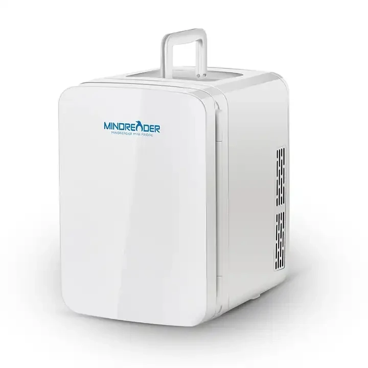 Portable Beauty Fridge 10l Or 12 Can With Heat And Cool Skincare Fridge Mini