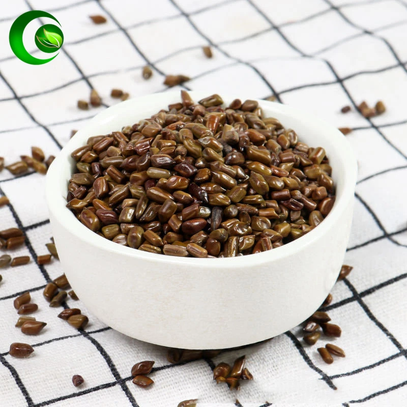 Cassia-Semen-Cassiae-Ketsumeishi-Summary-of-The-cassia-Weight-Loss-Jue ...