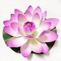 40cm purple