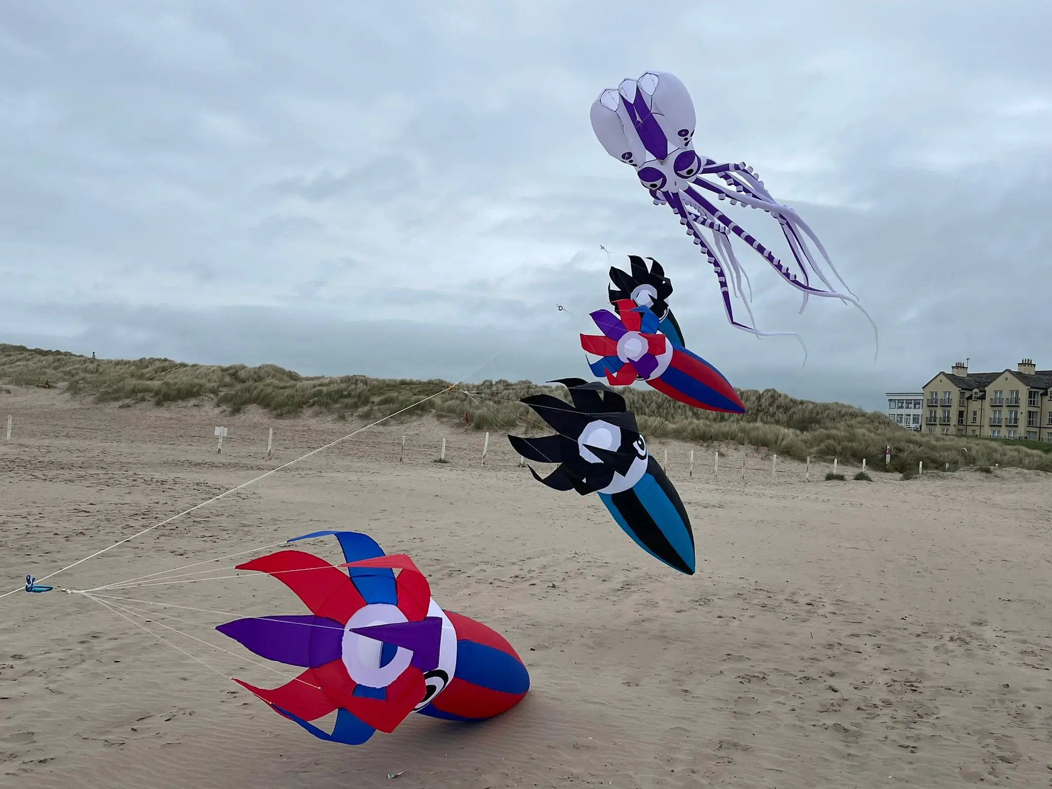 10/12M LED Kite soft Octopus night kite with battery remote control in high brightness by round corner LED well prototect kite 4