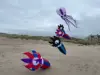 10/12M LED Kite soft Octopus night kite with battery remote control in high brightness by round corner LED well prototect kite 4