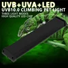 UVA+UVB Reptile Lamp Full Spectrum LED Light Lizard Supplies Turtle Sunbathe Heat Lamp Amphibians Supplement Calcium Light 4-12W 1