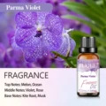 Parma Violet