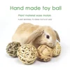 Rabbit Ball Toys Bunny Treats Toys For Teething Small Animal Chew Toys Grass Ball For Hamster Rabbits Guinea Pigs Pet Toy 1