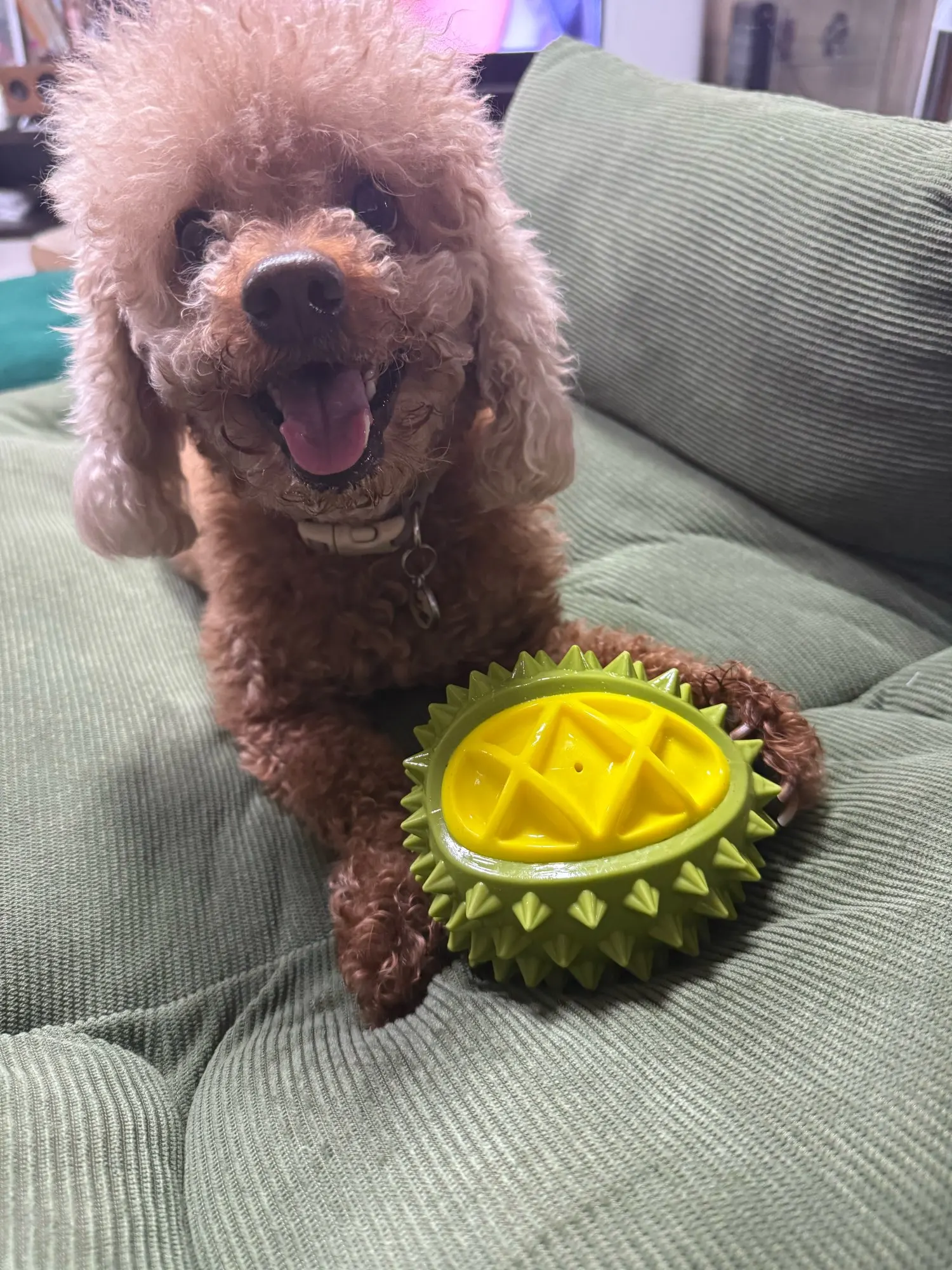 Durian Shape Dog Molar Toy Interactive Squeaky Toy