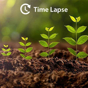 Description Picture 5 of itemMini Trail Camera 2 Pack 20MP 1080P Game Cameras Night Vision Motion Activated Waterproof Hunting Cam Wildlife Monitoring Trap