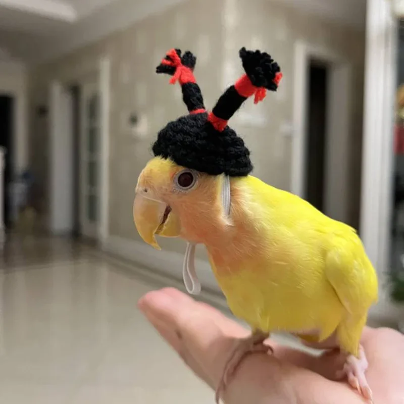 Bird Hat Small Animals Lovely Hand Knitted Hats For Hamster Lizard Guinea Pig Reptile Party Clothes Costume Pet Caps bird costume