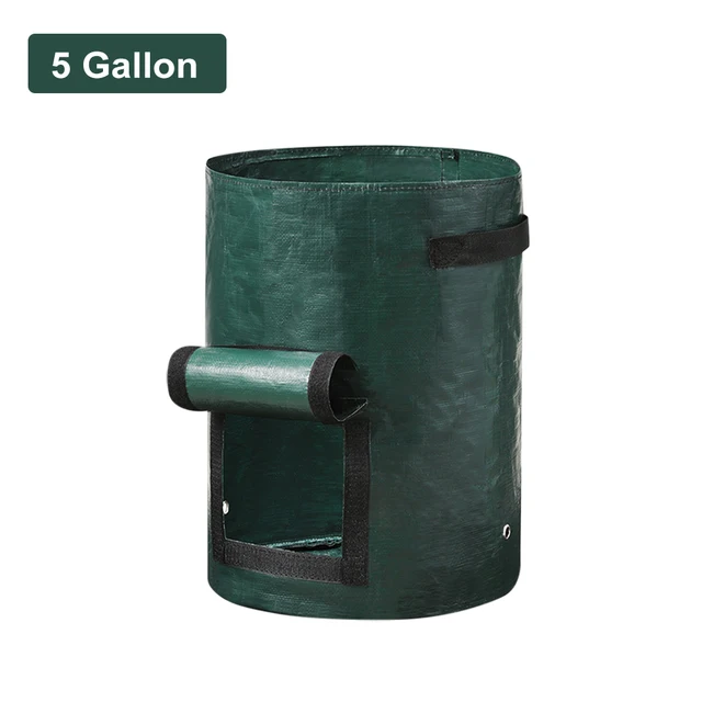 5 Gallon