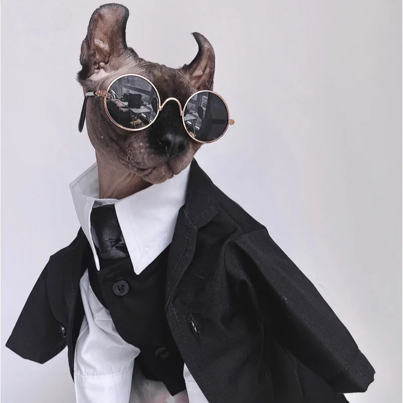 Cat Costumes Sphynx Hairless Cat Clothes Sphinx Devon Autumn Winter English Dress Wedding Suit Pet Gentleman Handsome Cool Coat 220908