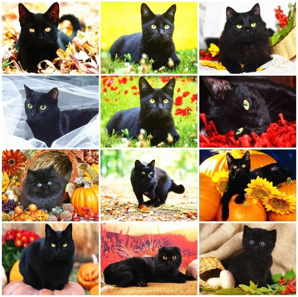 16.jpg_.webp 16.jpg_.webp