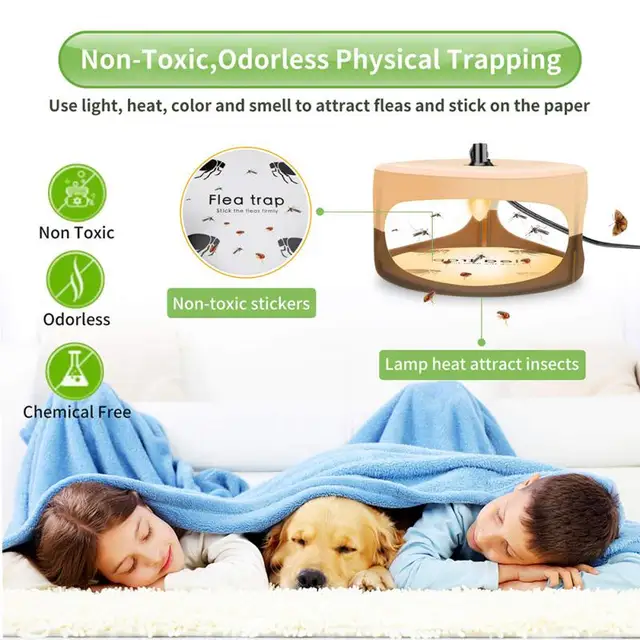 Kártevővezérlés Bolhacsorda Matrica Szagtalan, Nem Mérgező Biztonságos Légy És Bolhacsapdás Izzó Elektromos Lámpa Fogó Otthoni Házba Belsejében - Image 6