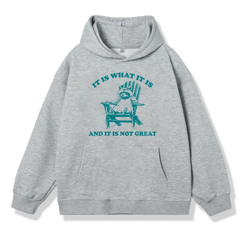 Lt Ls What It Ls and It Ls Not Great Funny Raccoon Graphic Hoodie Men's Autumn and Winter Fashion Oversized Sweatshirt Pullover