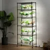 DIY Plant Stand with Grow Light, 6-Tier Large Tall Plant Shelf with 192W 5000K Full Spectrum Grow Lights for Seed Starting 1