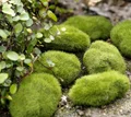 1pc Moss Stone