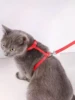 A cat rope cat rope i-line walking cat chain chest strap cat rope pet supplies 6