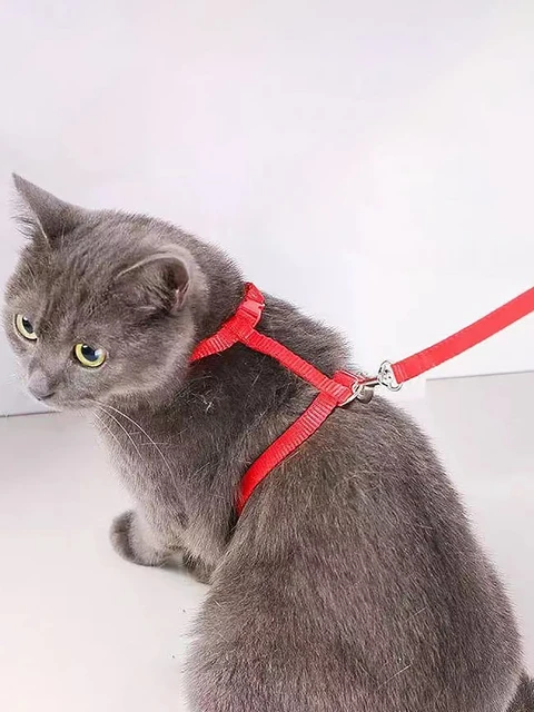 A cat rope cat rope i-line walking cat chain chest strap cat rope pet supplies 6