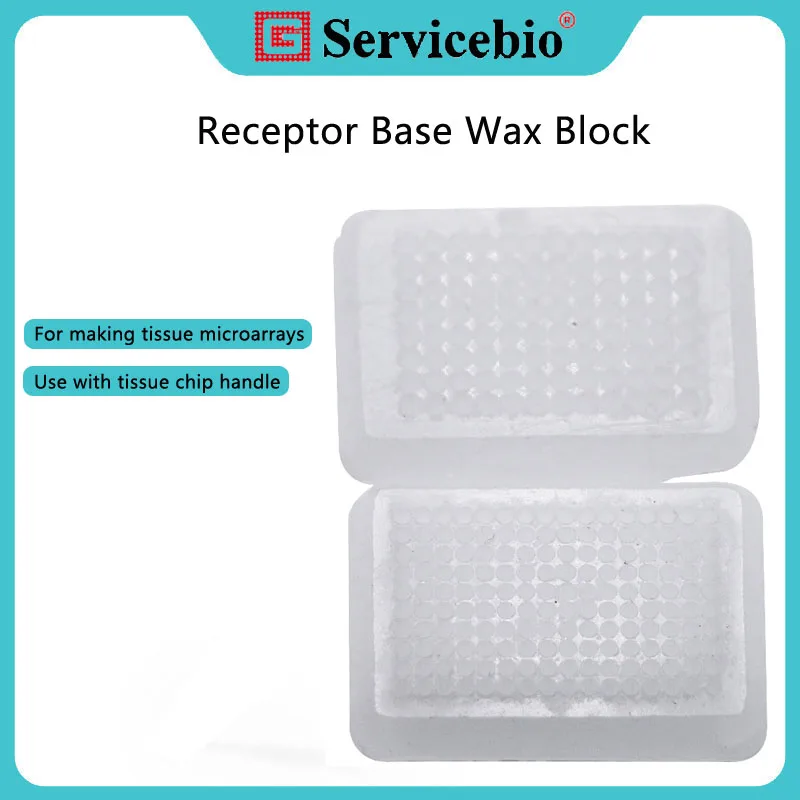 

Aperture 1.0/1.5/2.0/3.0/5.0mm Receptor Base Wax Block, Used To Make Tissue Chip, Used with Tissue Chip Handle