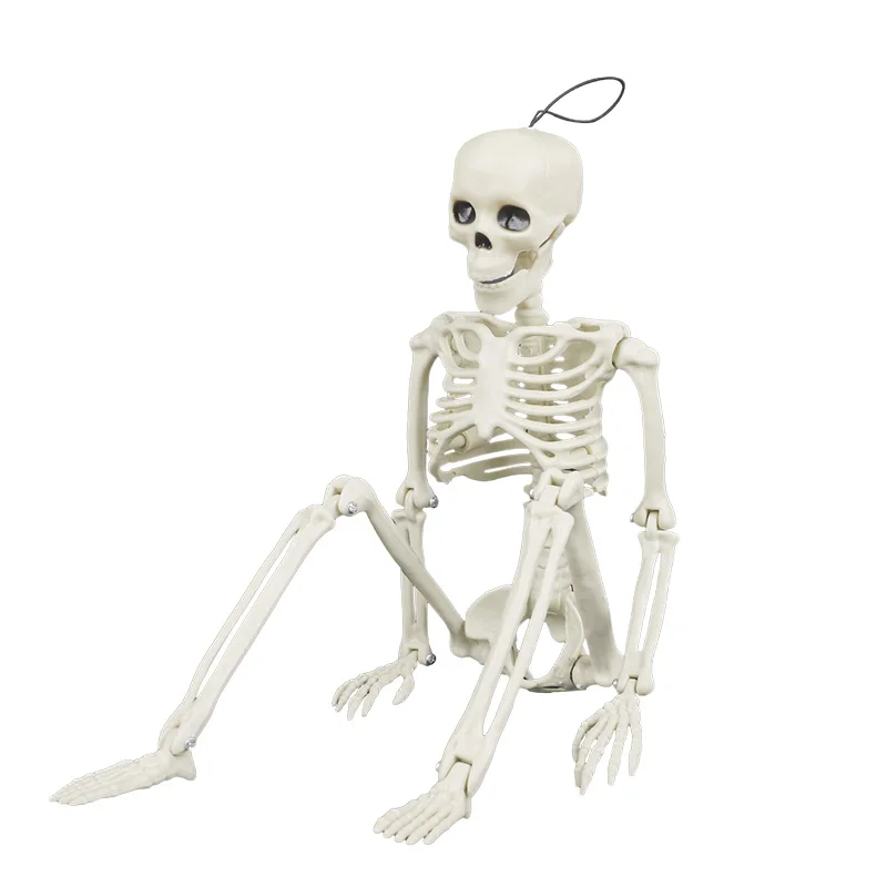 40cm Halloween Skull Skeleton,Posable Skeleton,Human Shape Bones,Halloween Party Home Decorations,Haunted House Horror Props