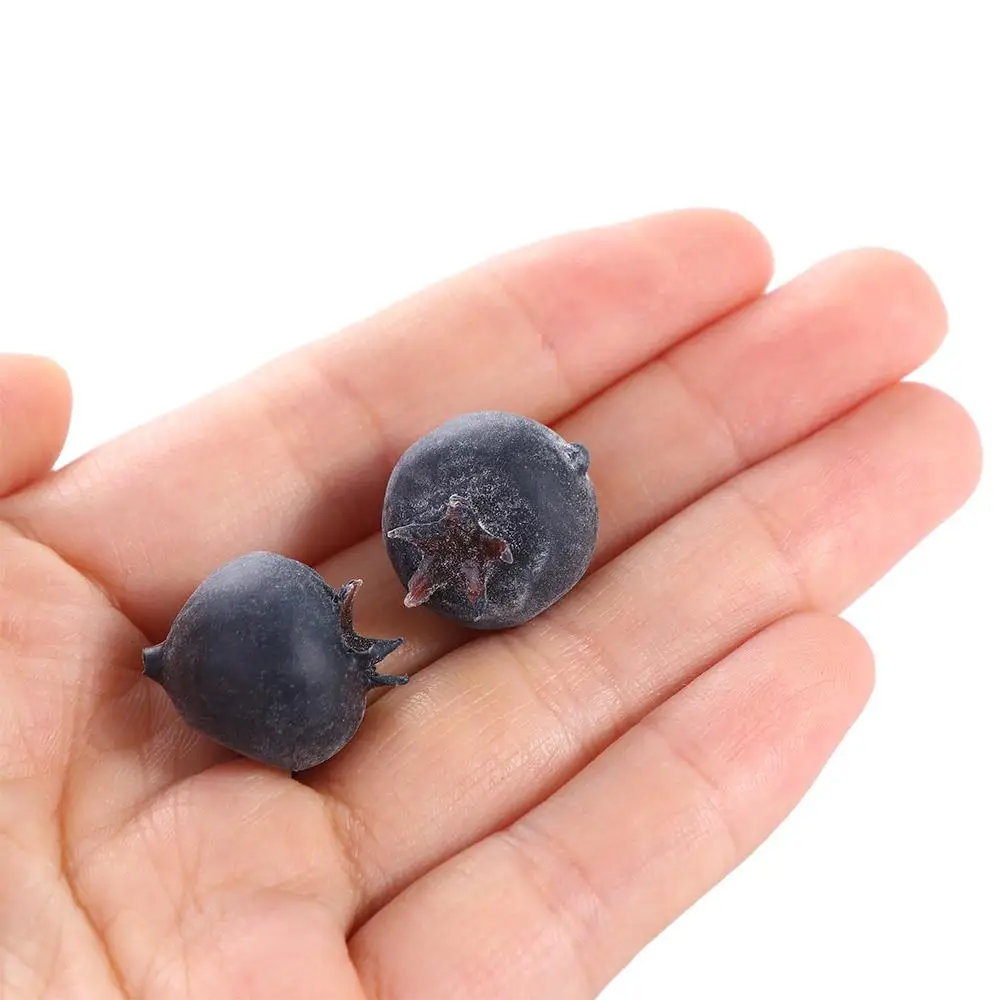 Artificial Plants Artificial Fruits and Vegetables 20pcs High Simulation Blueberry Model Photo Props Fake Fruit Ornaments Artificial Food Two Size Blueberry Fruit Shop Model Decor