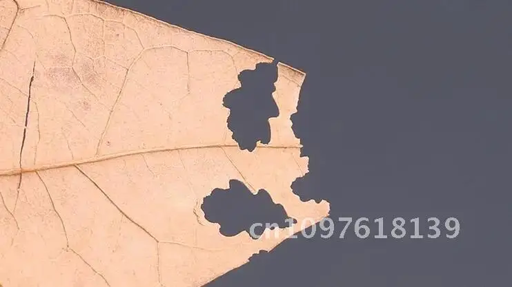 New pattern Miniature model Leaf Maker Leaf Modeling Scene Table Sand paper DIY Tool