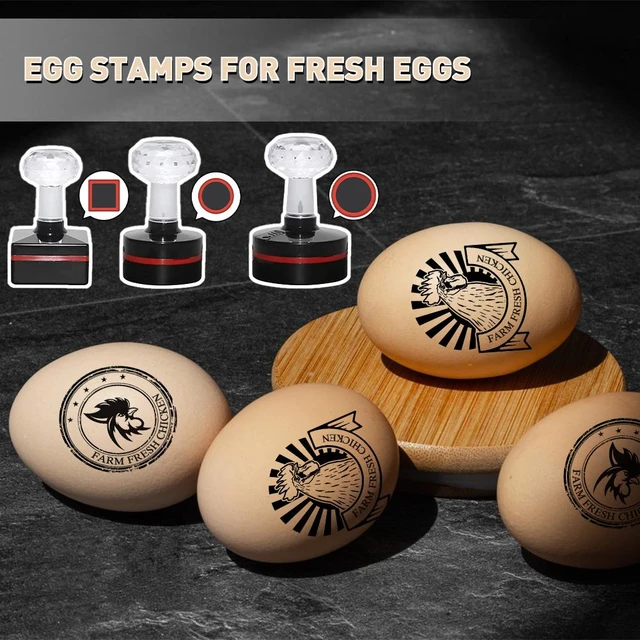 Custom Rubber Stamp Egg Carton Stamp Farm Stamp Fresh Chicken Eggs Chicken Custom  Stamp Floral Egg Stamp 