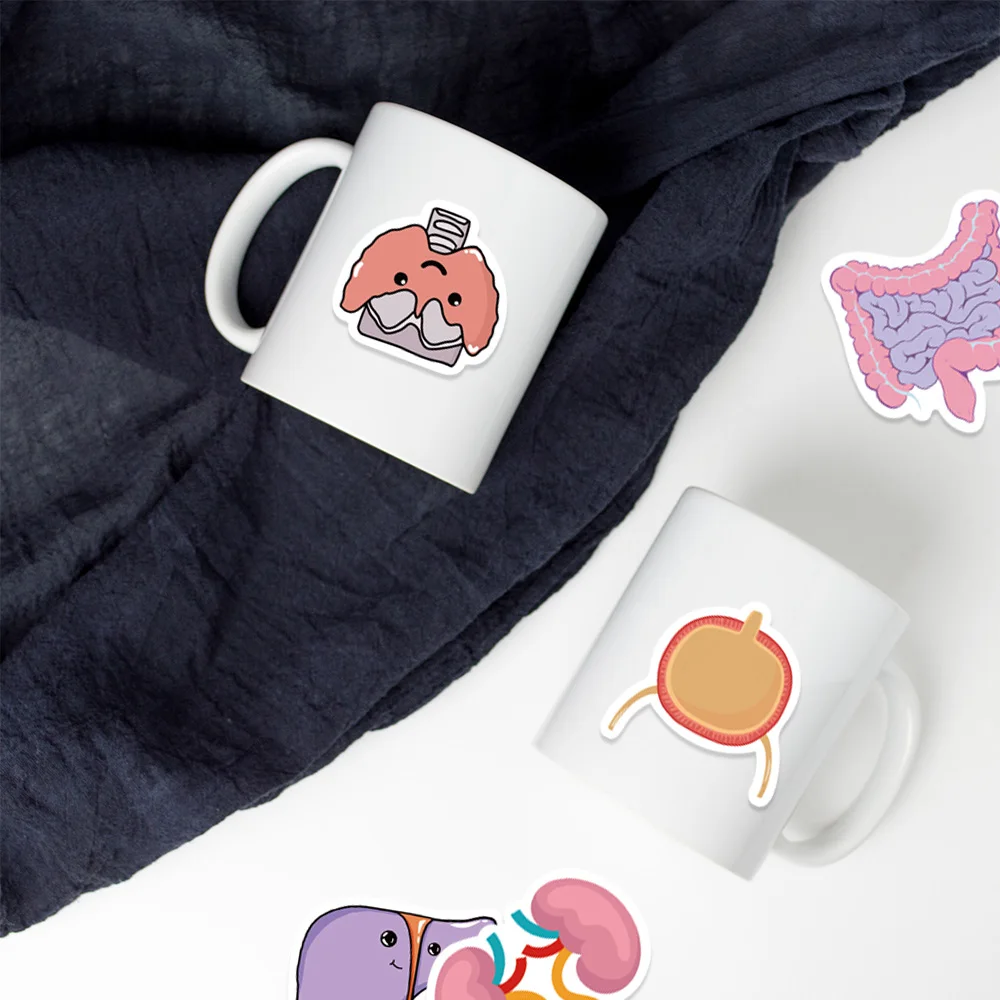 Anatomy Stickers |50Pcs Human Body Organ Waterproof Vinyl