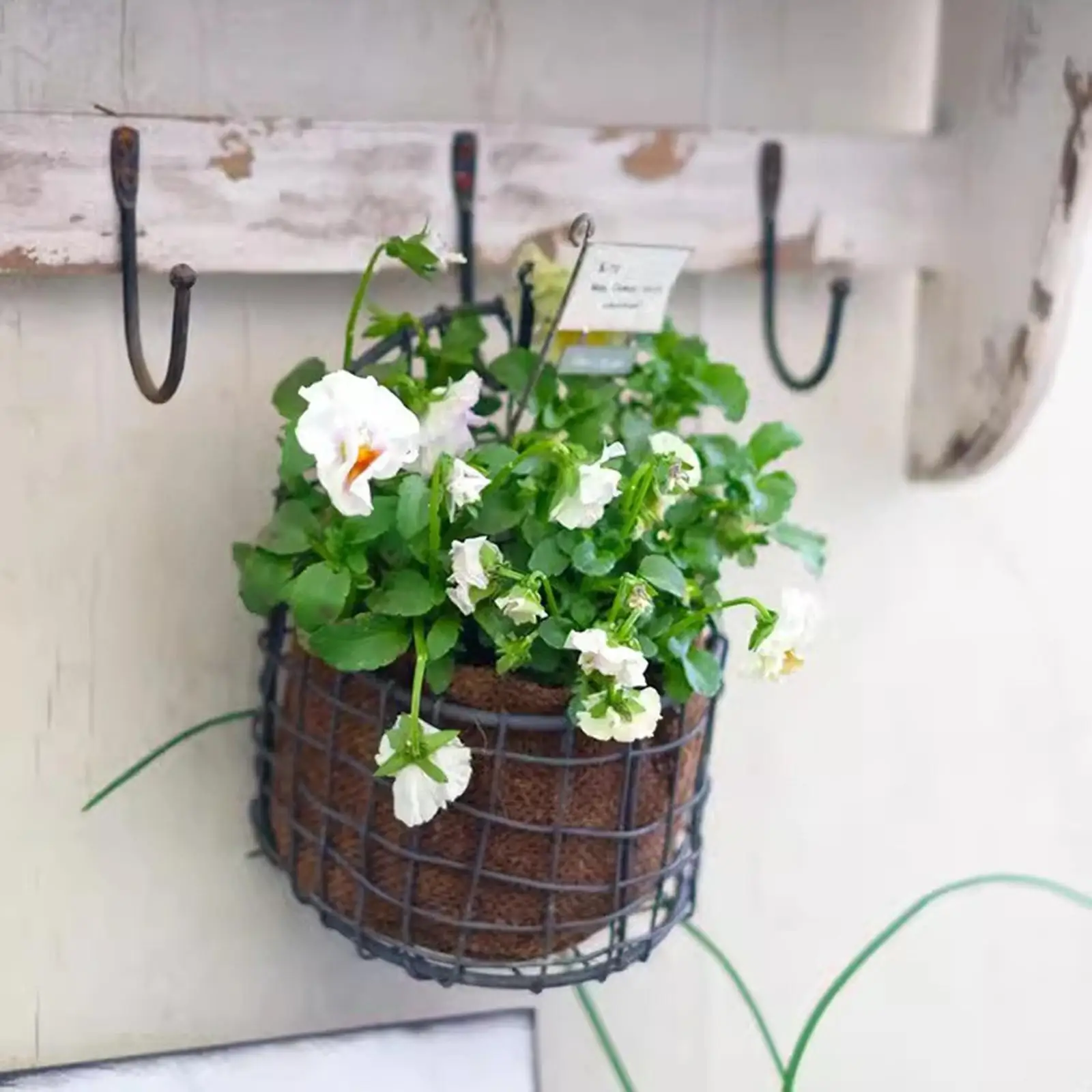 Wall Mounted Basket Hanging Planter Flower Pot Stand Iron Wire Mesh Basket for Garden Balcony Yard Backyard Retro Design Storage Wall Mounted Basket Hanging Planter Flower Pot Stand Iron Wire Mesh Basket for Garden Balcony Yard Backyard Retro Design Storage
