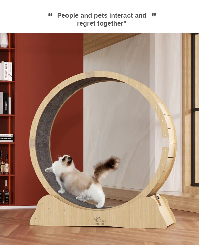 Sa6baecaf02284fb88f0a45c2331f87aeX