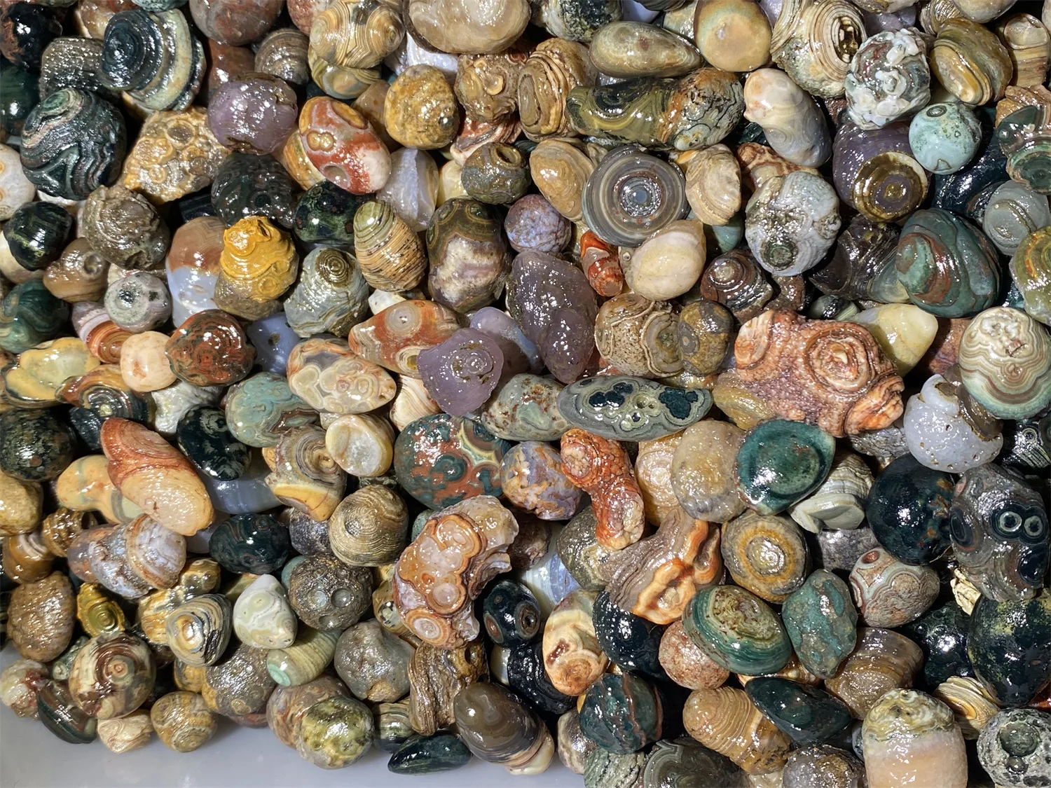 1kg/lot Rare Colorful Eye Stone Gobi Agate Non-Porous Bulk Rough Collectibles Miraculous strong energy amulet