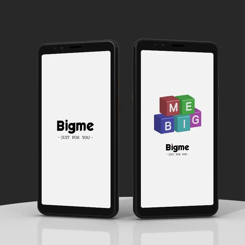 Bigme Hibreak E ink Smartphone electronic Ebook Reader 5.84" E-ink Screen phone EInk book ereader Android11 Support Kindle APP
