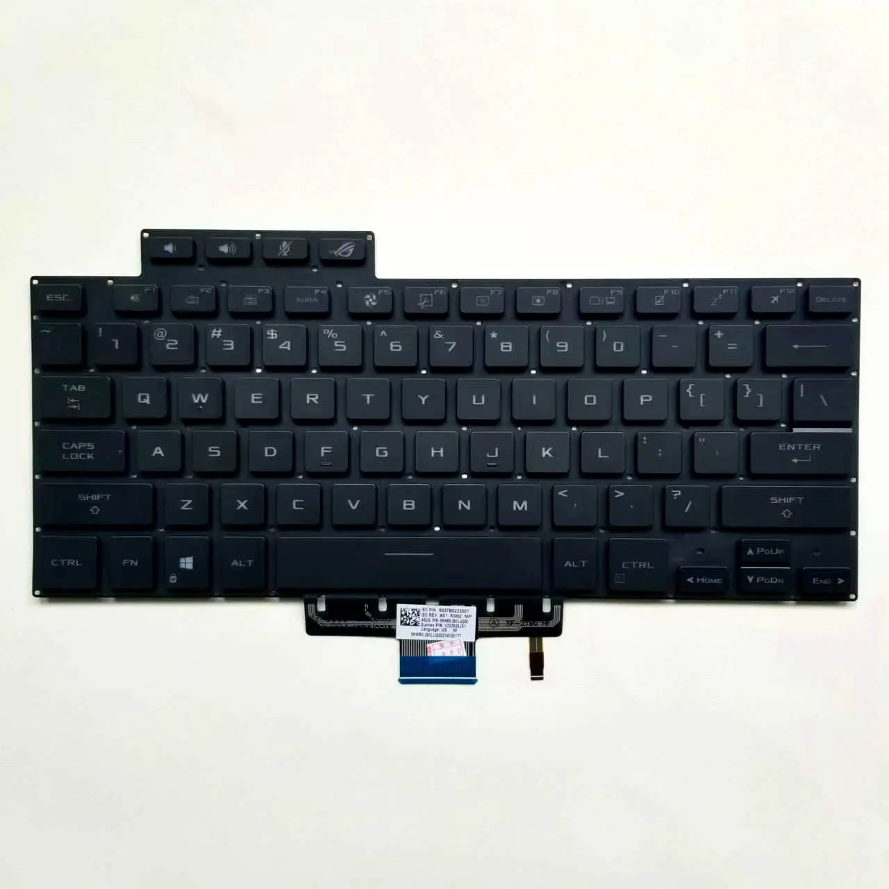 6037b0223701, 0KNR0-261NUS00, V202526LS1, Novo